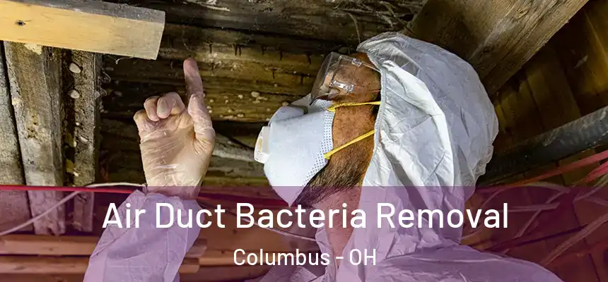 Air Duct Bacteria Removal Columbus - OH