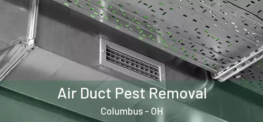 Air Duct Pest Removal Columbus - OH