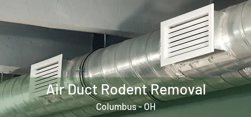 Air Duct Rodent Removal Columbus - OH