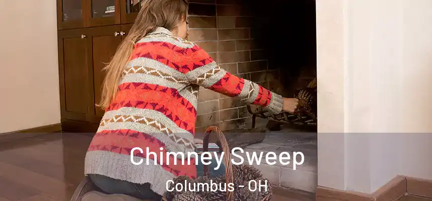 Chimney Sweep Columbus - OH
