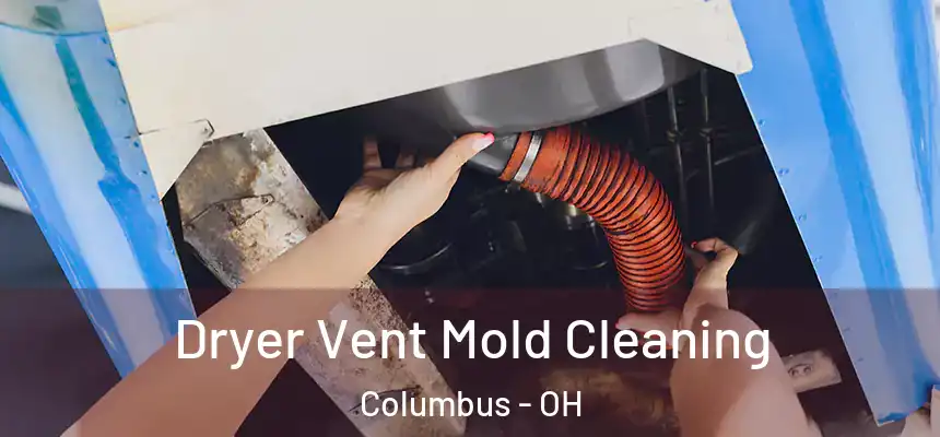 Dryer Vent Mold Cleaning Columbus - OH