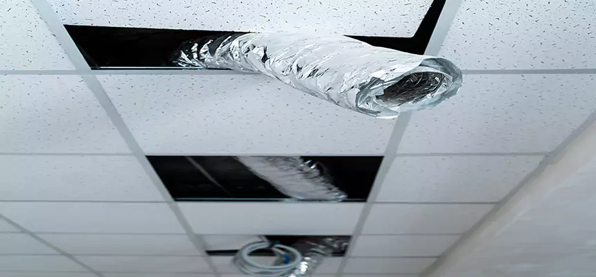 Our Air Duct Pet Hair Removal Services in Columbus, OH