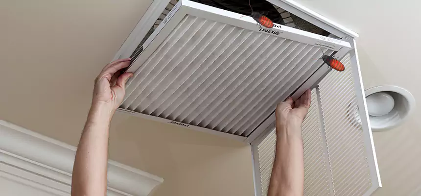 Our Insect Removal from Air Ducts Services in Columbus, OH