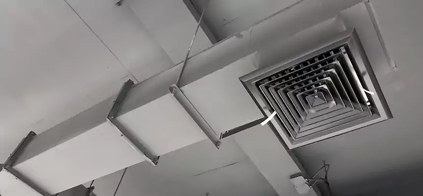 Our Rodent Droppings In Vents Services in Columbus, OH