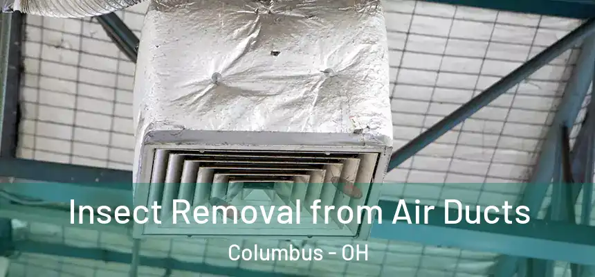 Insect Removal from Air Ducts Columbus - OH