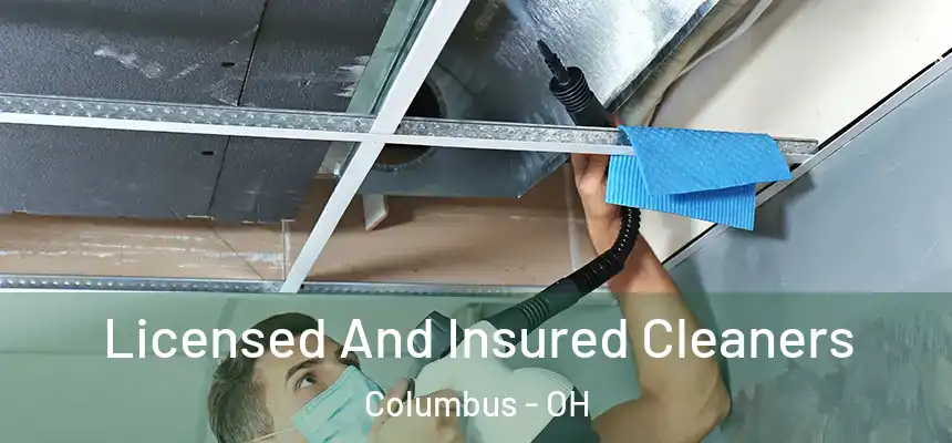 Licensed And Insured Cleaners Columbus - OH