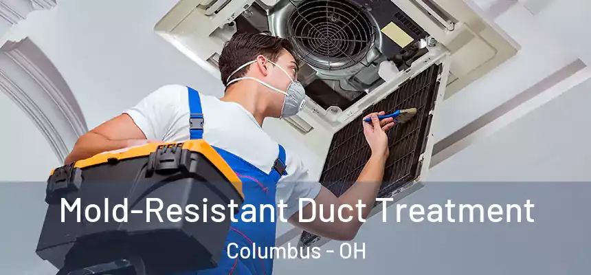 Mold-Resistant Duct Treatment Columbus - OH