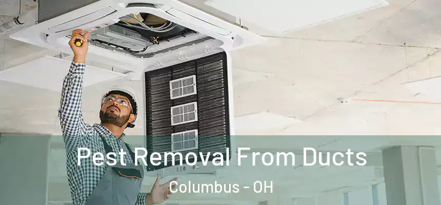 Pest Removal From Ducts Columbus - OH