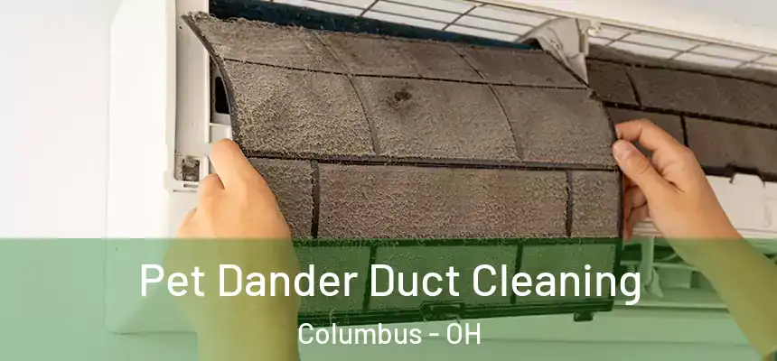 Pet Dander Duct Cleaning Columbus - OH