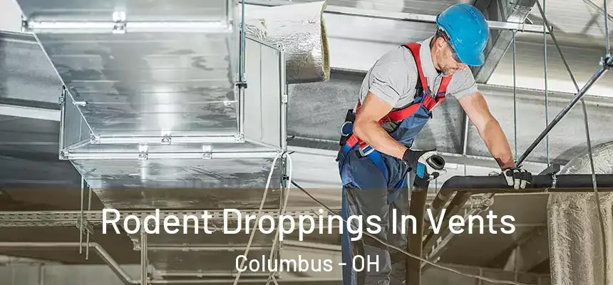 Rodent Droppings In Vents Columbus - OH