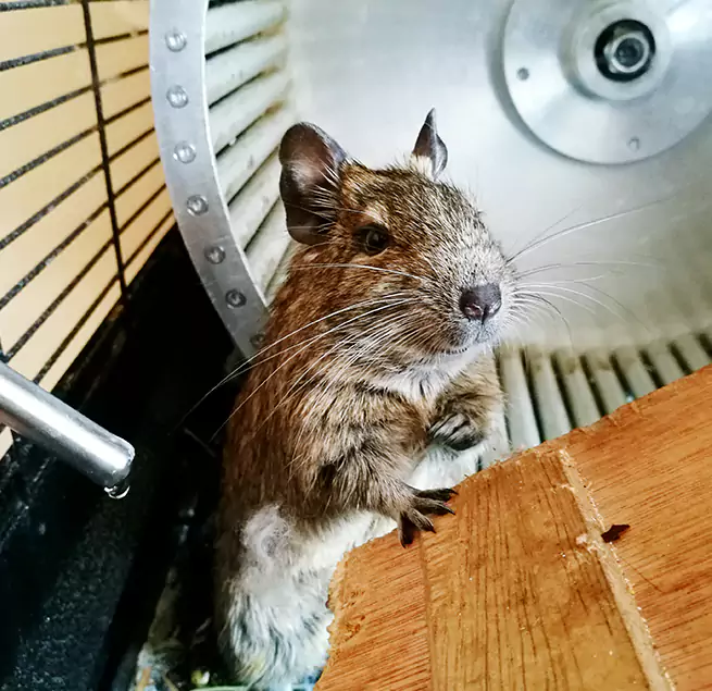 Why Homeowners & Businesses Trust Us Columbus, OH